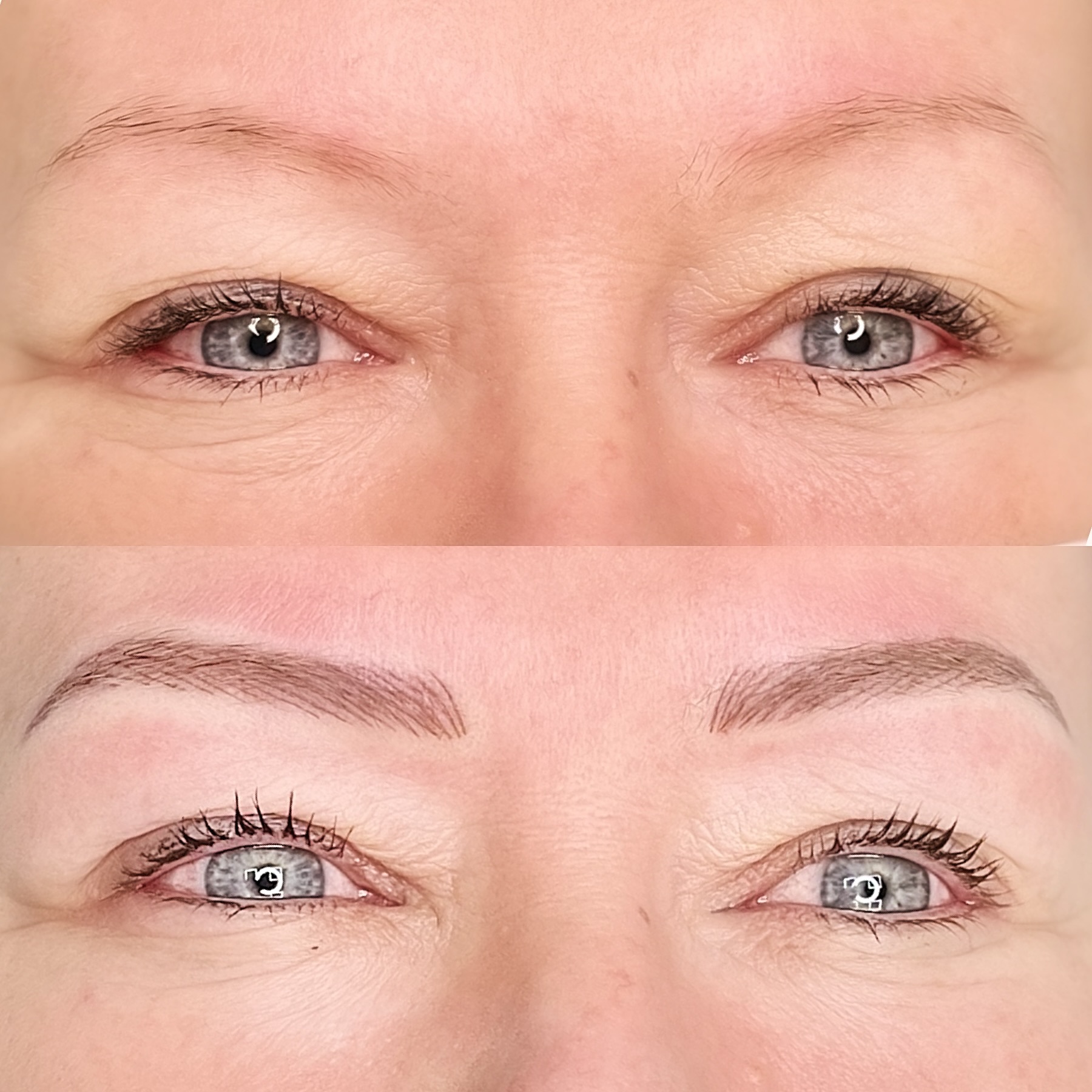 Brow Brows