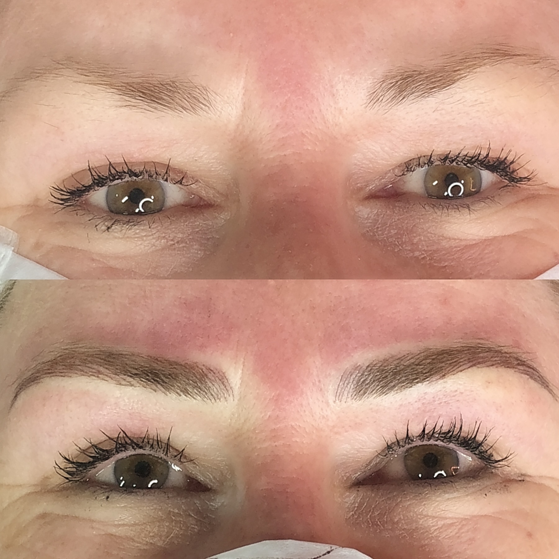 Brows Brows