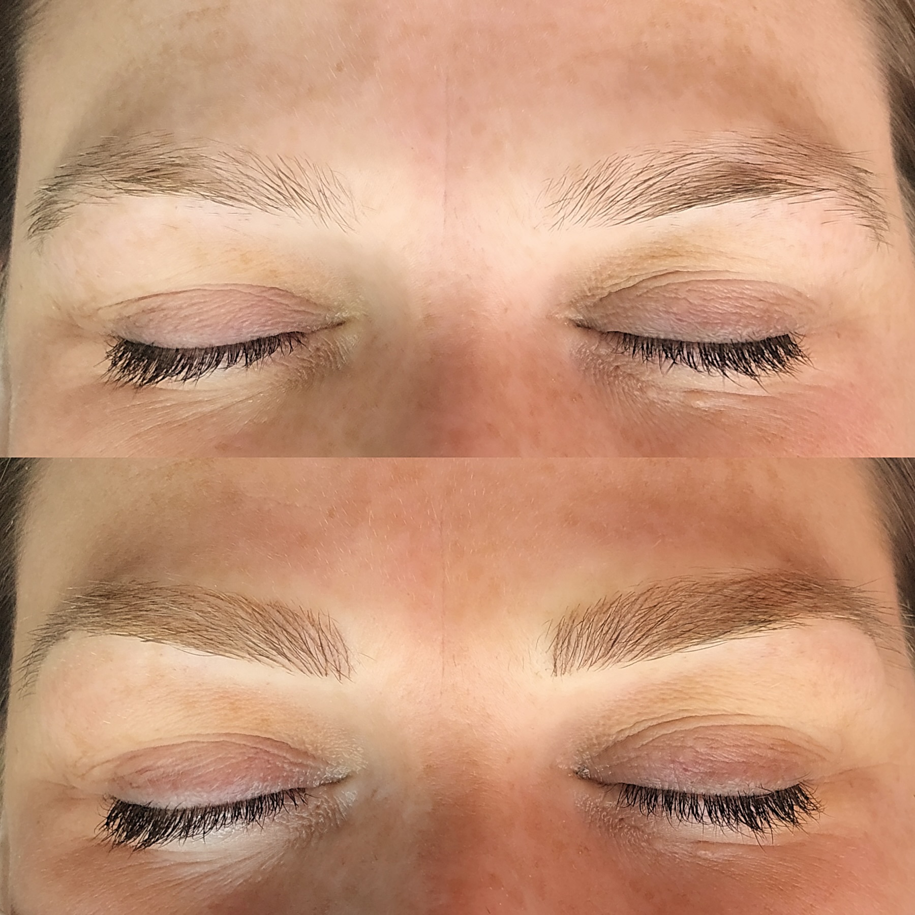 Brows Brows