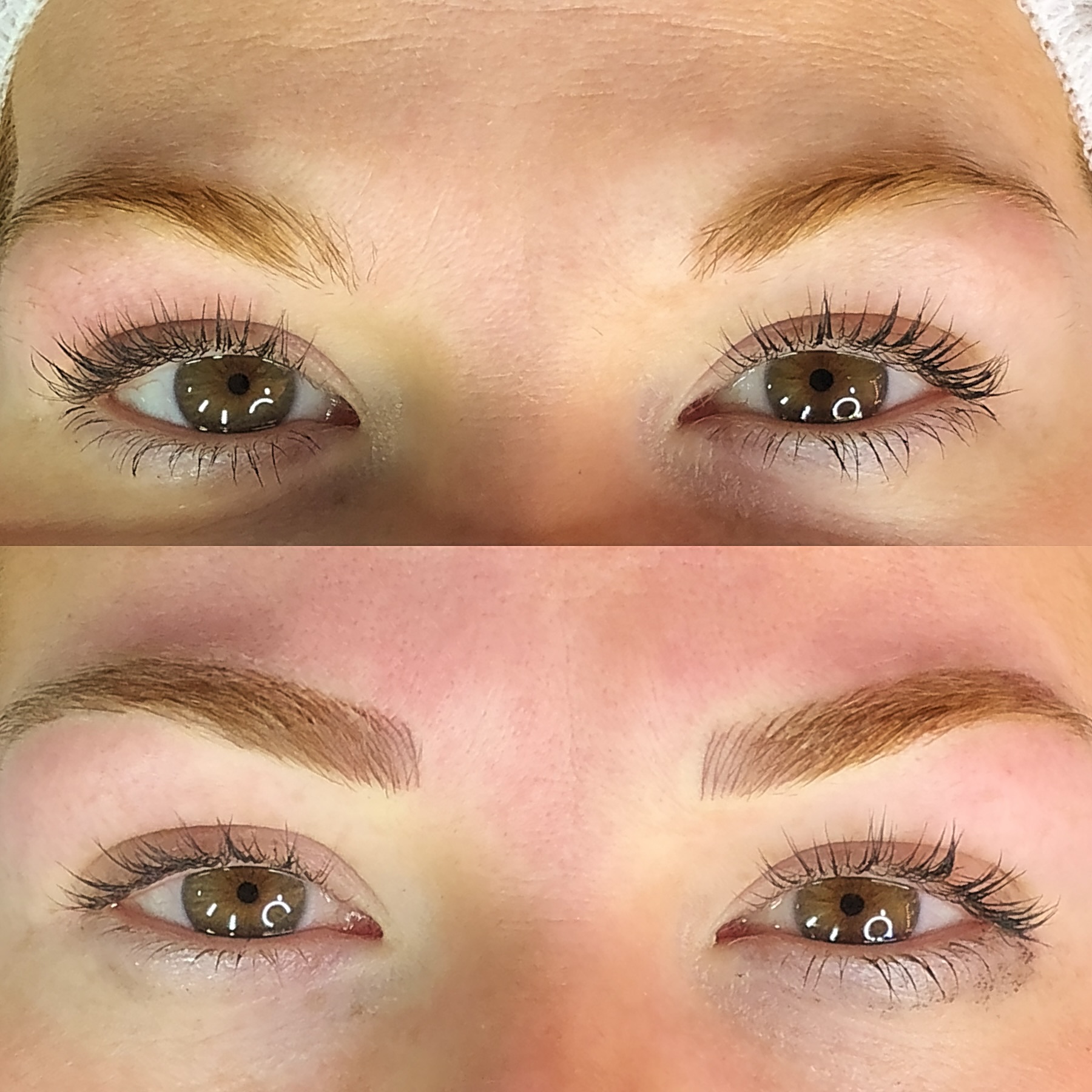 Brows Brows