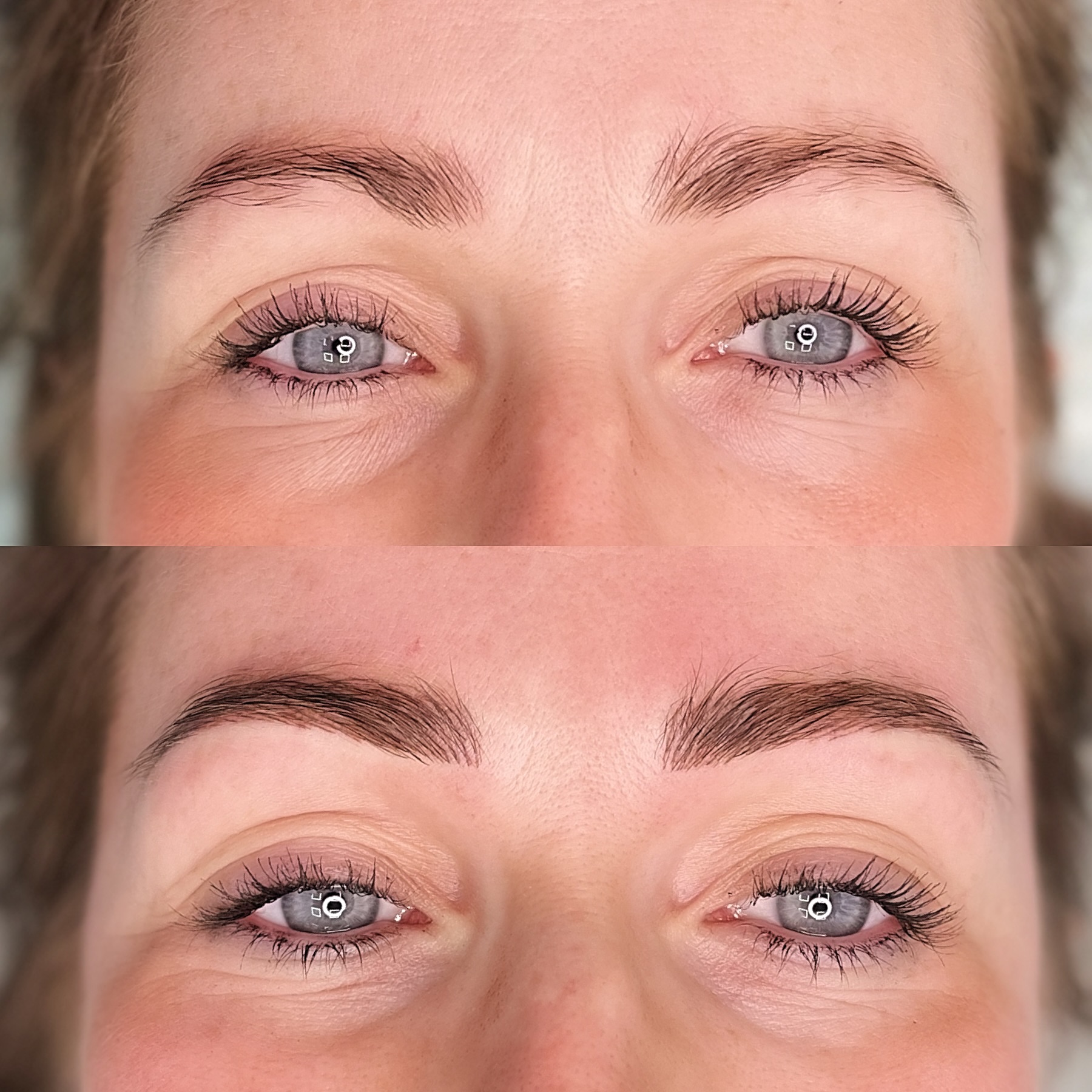 Brows Brows